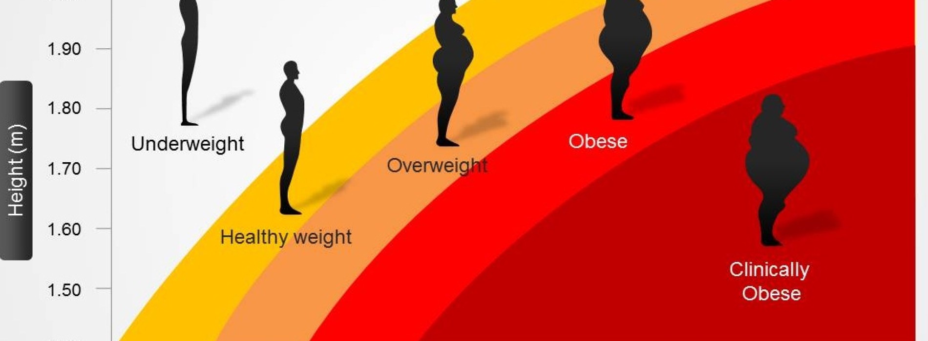 Body Mass Index (BMI) Calculator now available on NHO