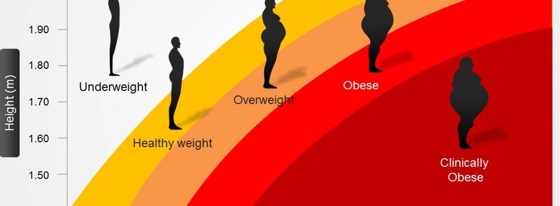 body mass index calculator body measurements body mass index calculator body measurements