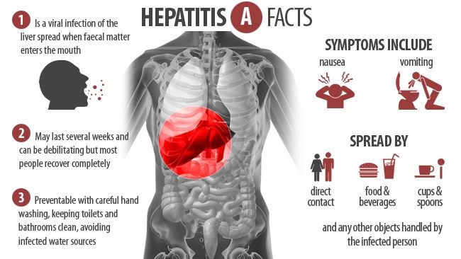 Some Hepatitis A facts