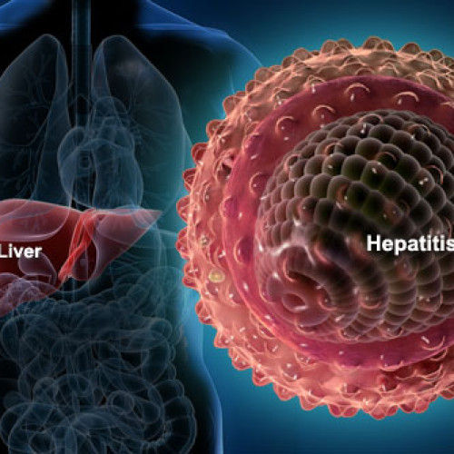 Nigeria launches policy for hepatitis control