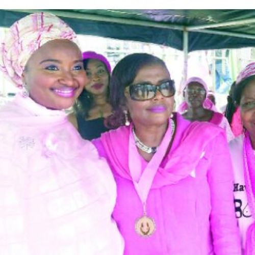 Day Abuja turned pink against cancer