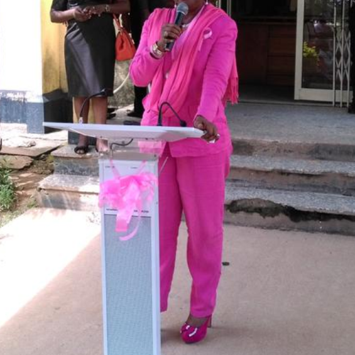 Why Nigeria Must go pink to fight cancer – Prof. Okoye