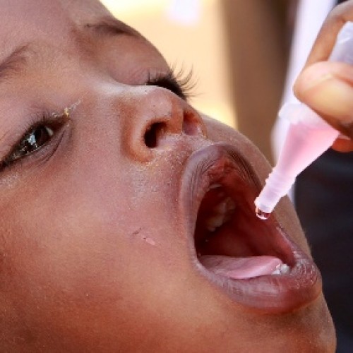 Rotary budgets $96.5m to end polio