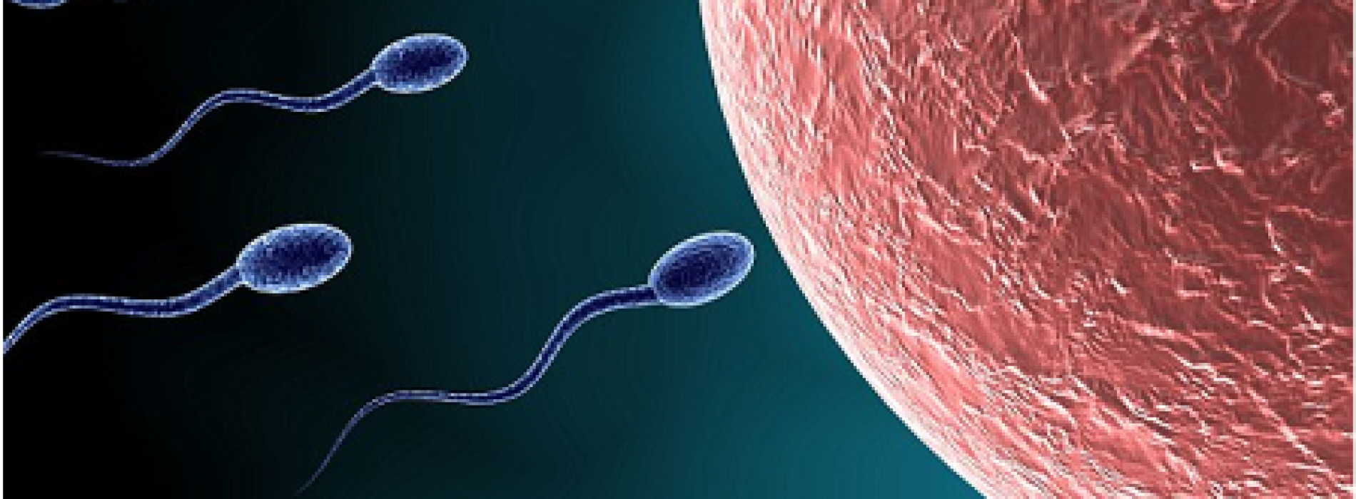 Progress on male contraceptive