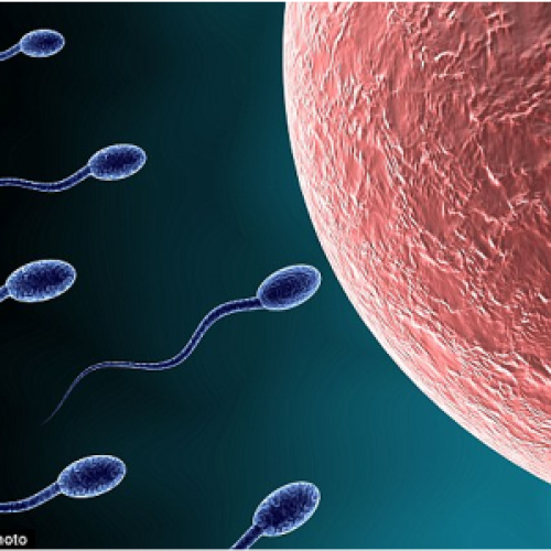 Progress on male contraceptive