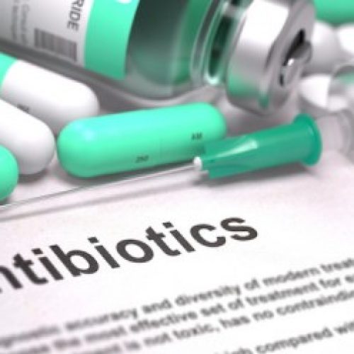 WHO publishes list of bacteria  requiring  new antibiotics