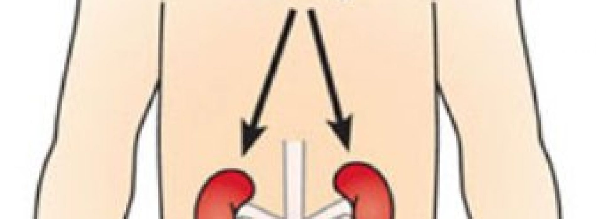 Analgesics and your kidney: Facts to know