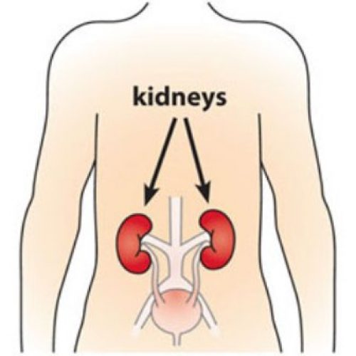 Analgesics and your kidney: Facts to know