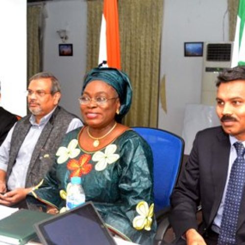 NAFDAC  DG meets Indian professional forum