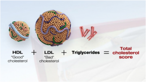 Cholesterol 5