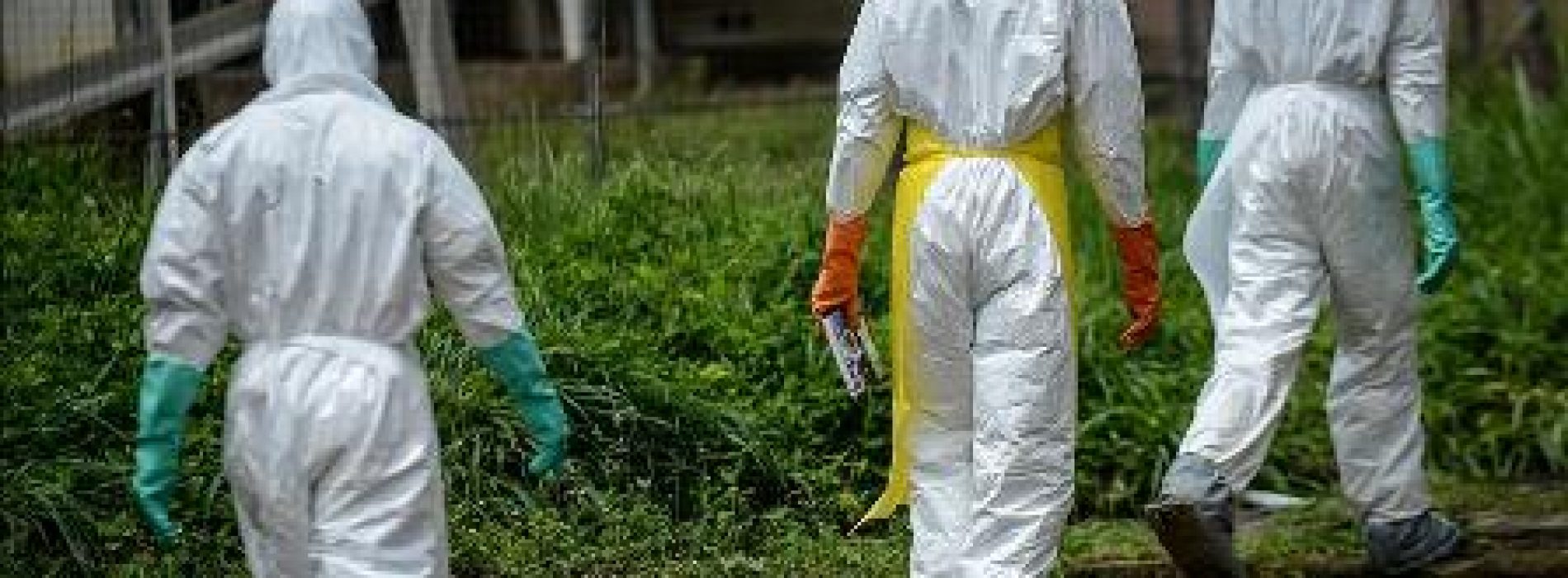 WHO deploys new technology for Ebola fight  