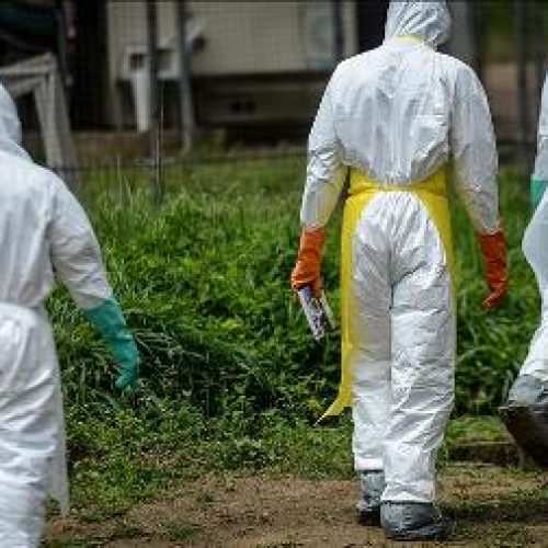 Congo now Ebola free – Minister