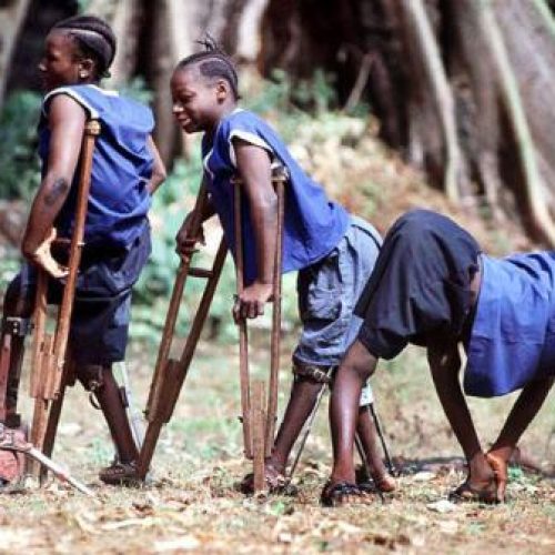 Nigeria may attain polio-free status in next twelve months