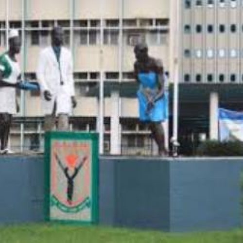 LUTH confirms Lassa fever cases