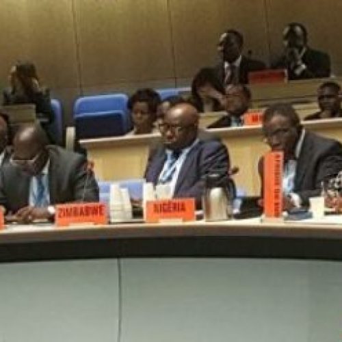 African Health Ministers adopt measures to attain universal health coverage commit