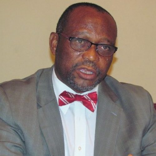 Family Planning: Nigeria is making progress – Ejike Oji