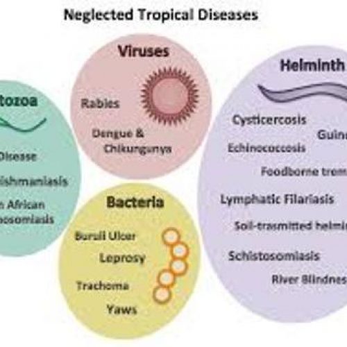 NTDs: Nigeria ranks 17 in mass treatment coverage index