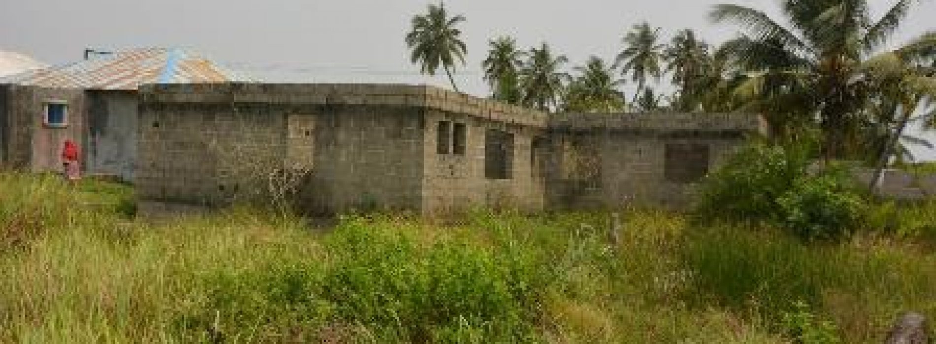 Reptiles take over abandoned  Lagos riverine PHC