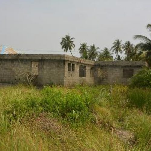 Reptiles take over abandoned  Lagos riverine PHC