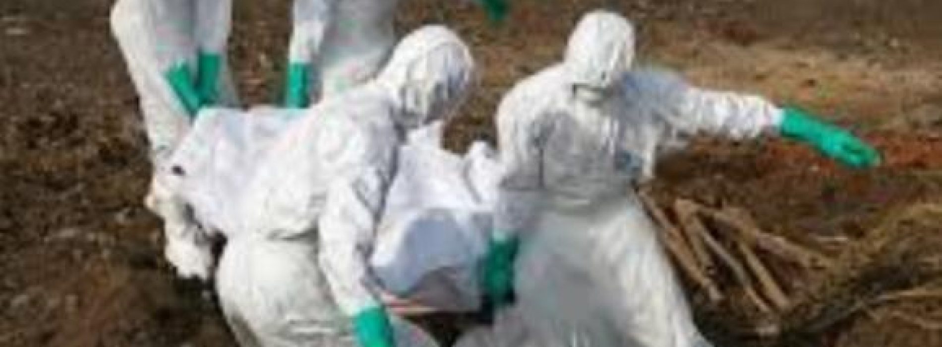 Catholic priest infected with Ebola