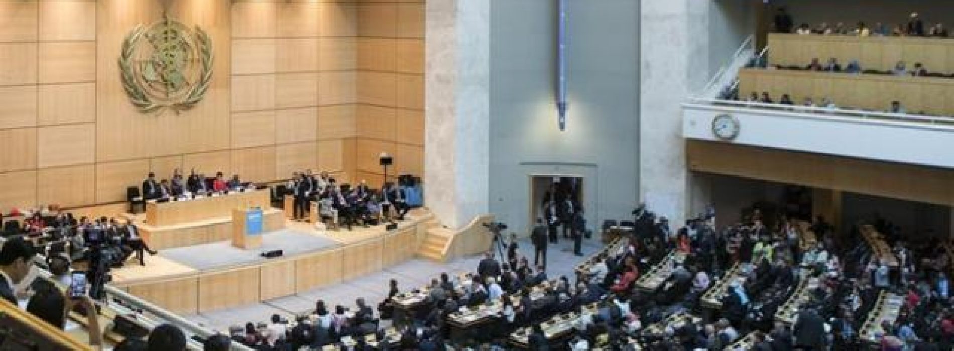 World Health Assembly delegates seal new 5-year strategic plan