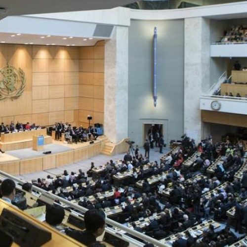 World Health Assembly delegates seal new 5-year strategic plan