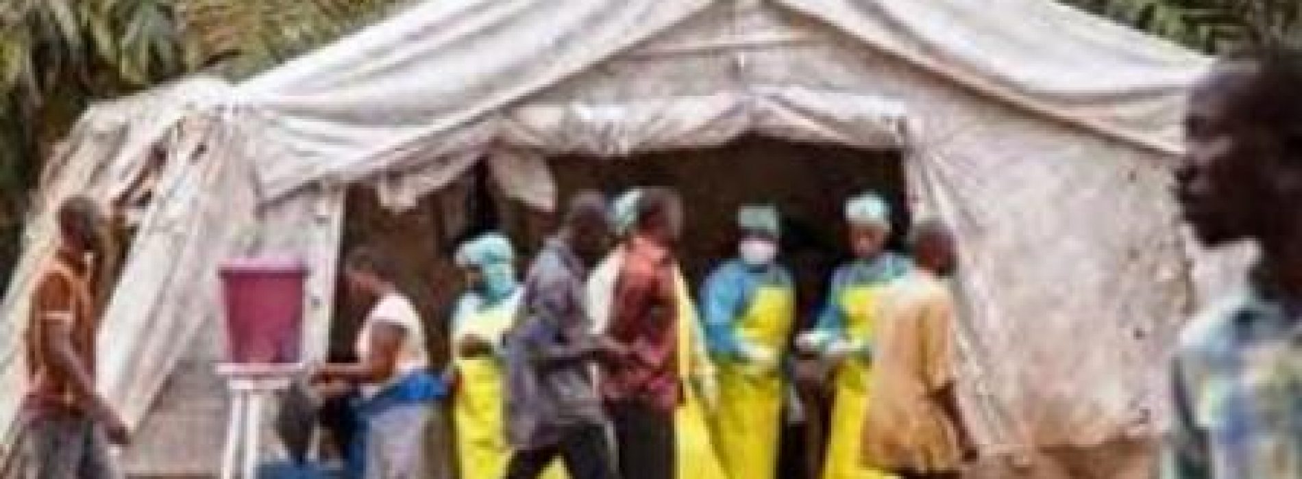 WHO congratulates Congo DRC as Ebola outbreak ends