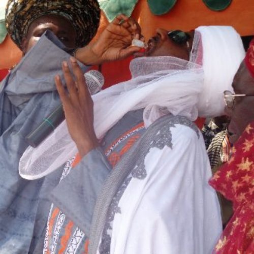 NPHCDA rallies northern traditional rulers on immunisation