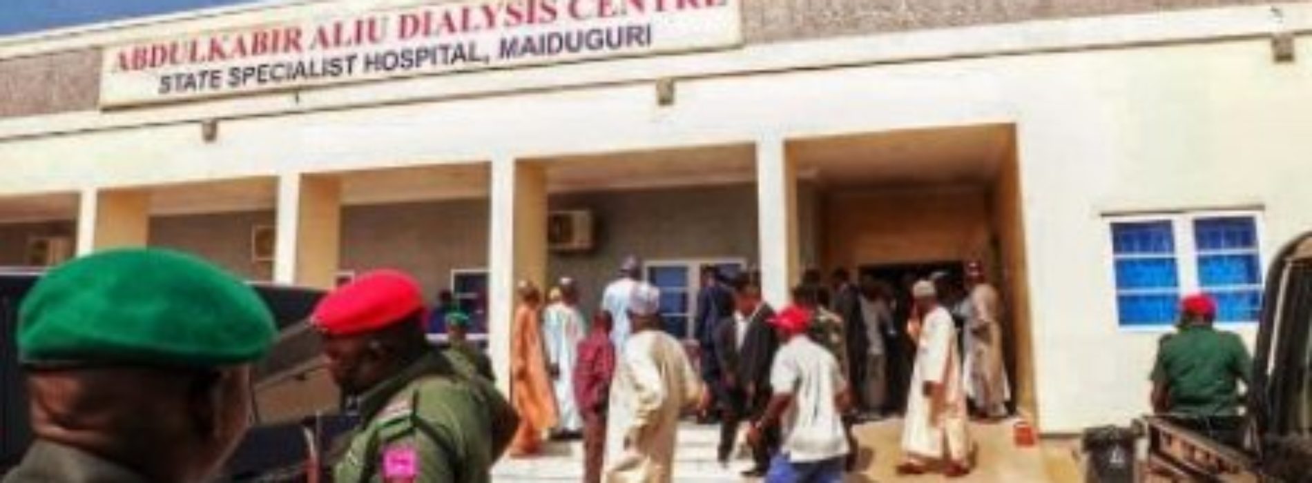 Borno governor orders free dialysis for kidney patients