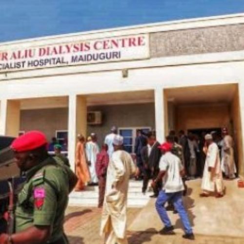 Borno governor orders free dialysis for kidney patients