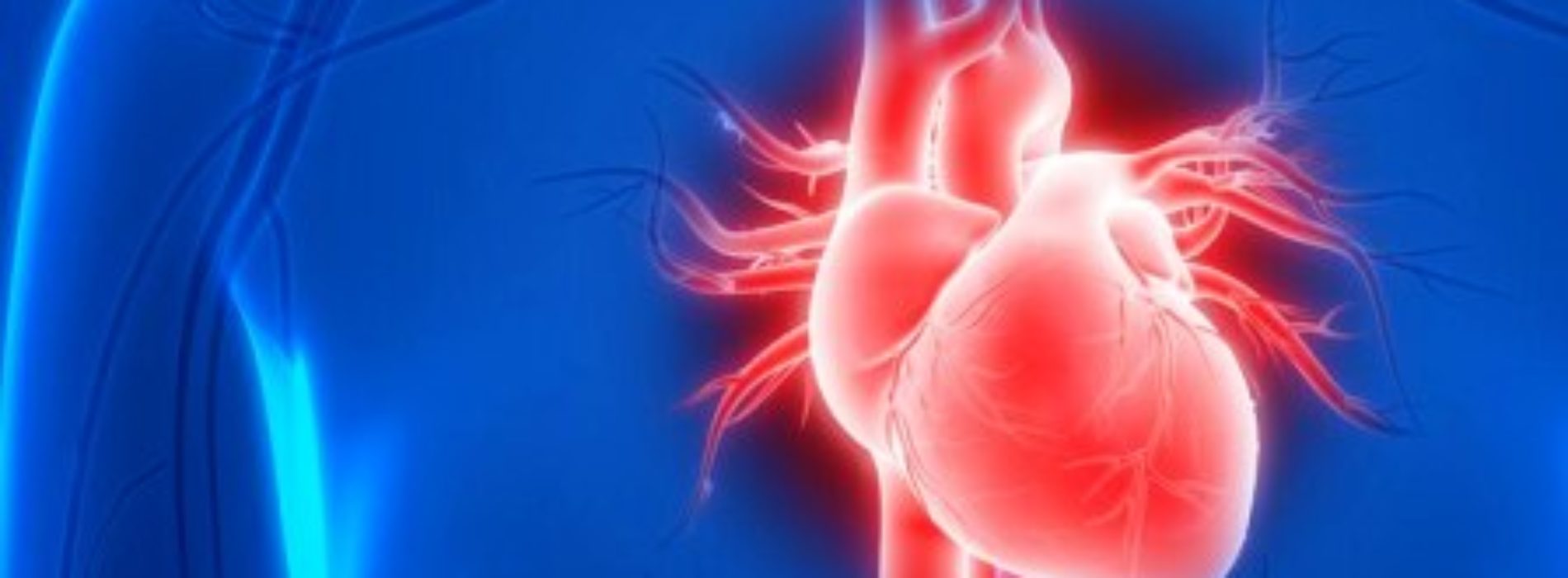 Sex and heart disease: Can your heart take it?