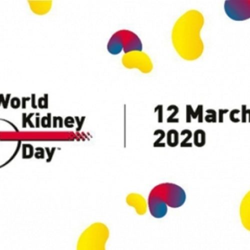 World Kidney Day 2020: Prevention remains best option