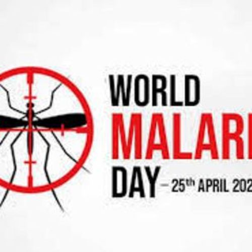 World Malaria Day: Global partnership tasks countries on timely action against malaria