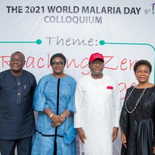 Experts task govts on increased funds for anti-malaria, private sector participation