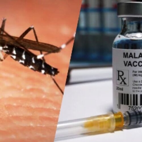At last, Africa to begin vaccination against malaria as Gavi opens applications for vaccine roll-out support