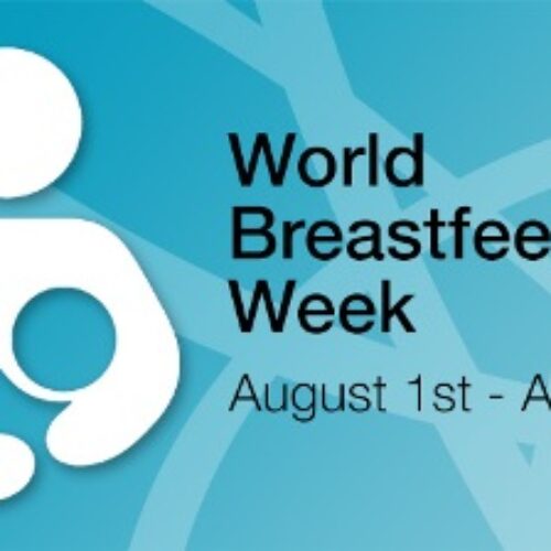 2022 World breastfeeding Week: Borno launches awareness campaign