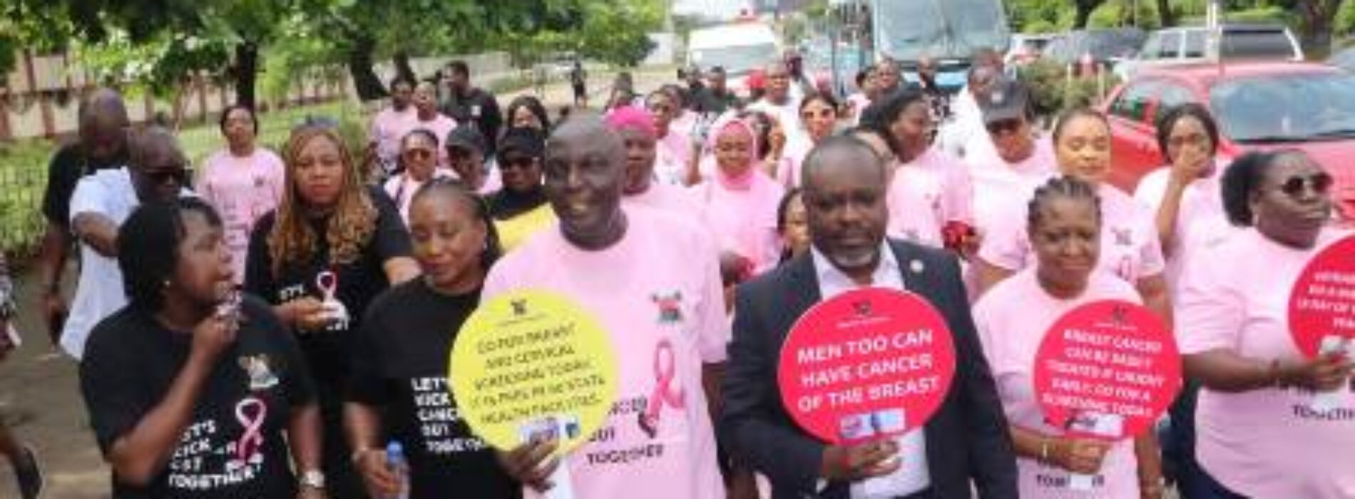 Lagos calls for collaborative efforts against breast cancer 