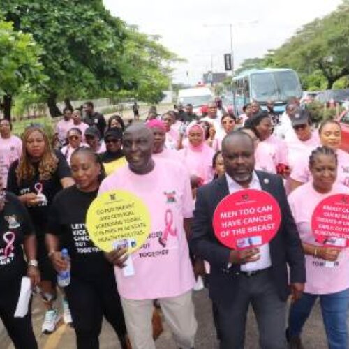 Lagos calls for collaborative efforts against breast cancer 