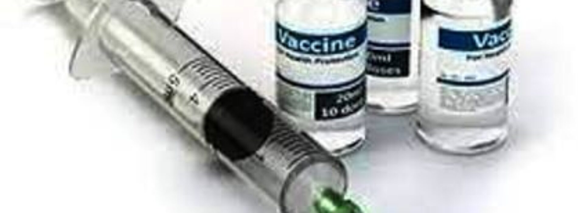 No vaccination’ against avian influenza, says FG 
