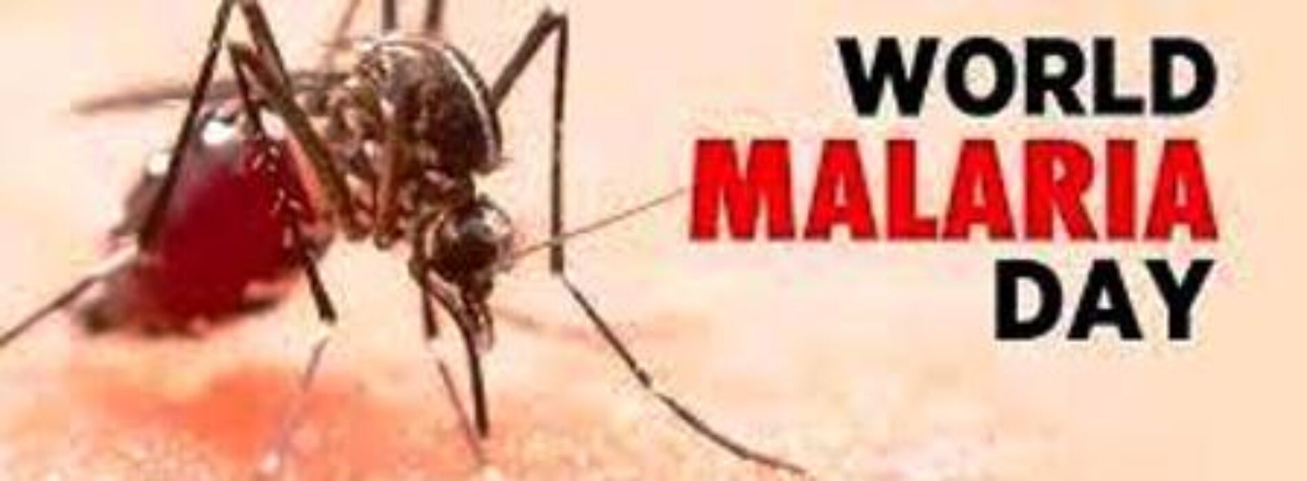 Pharma company recommends Free Malaria Management programme as part of fuel subsidy palliative