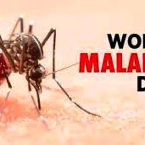 Pharma company recommends Free Malaria Management programme as part of fuel subsidy palliative