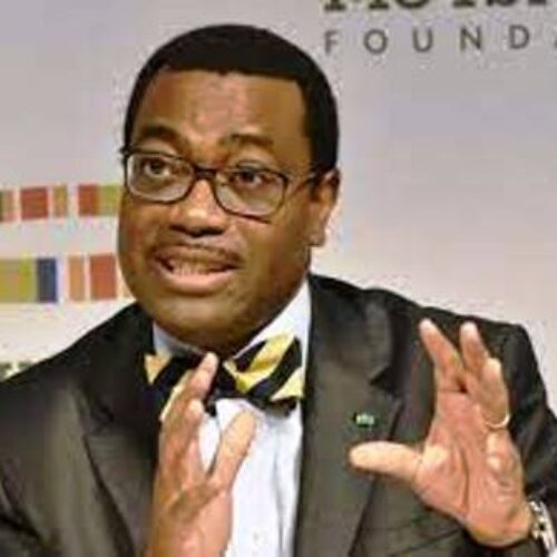 Adesina urges support for Africa Pharm Foundation