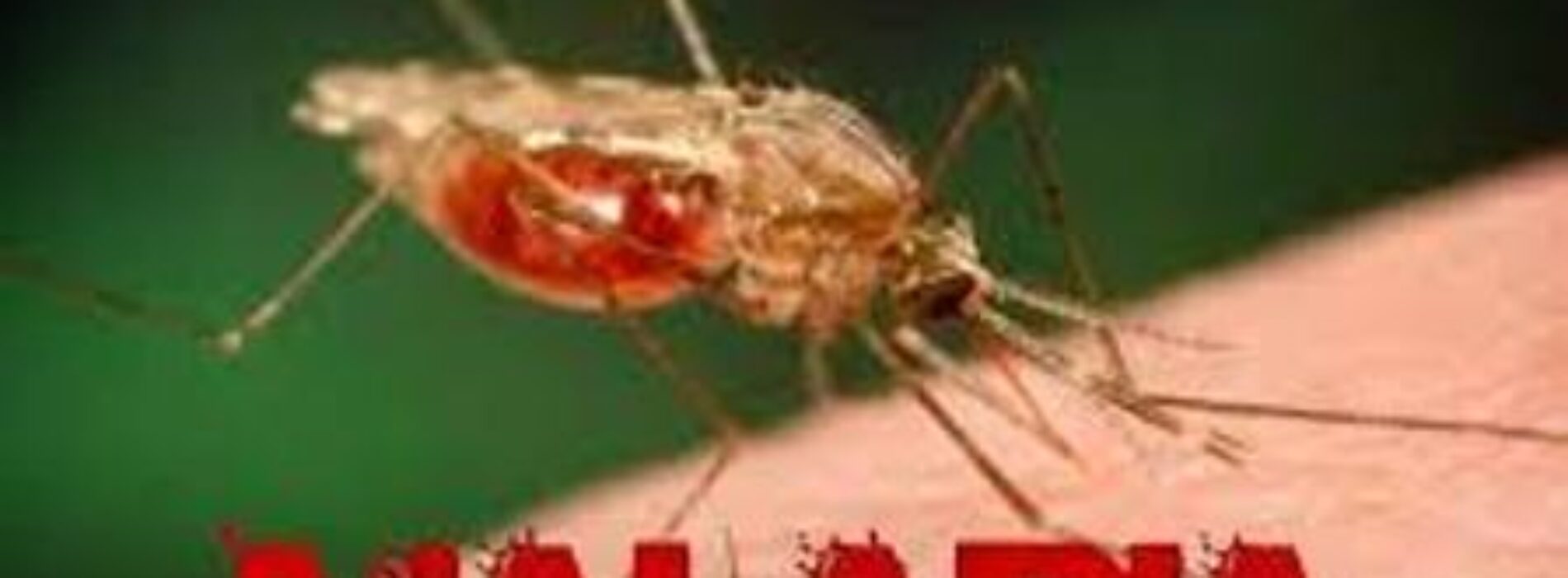 <strong>Malaria: Stakeholders call for all-out war against Mosquito</strong>