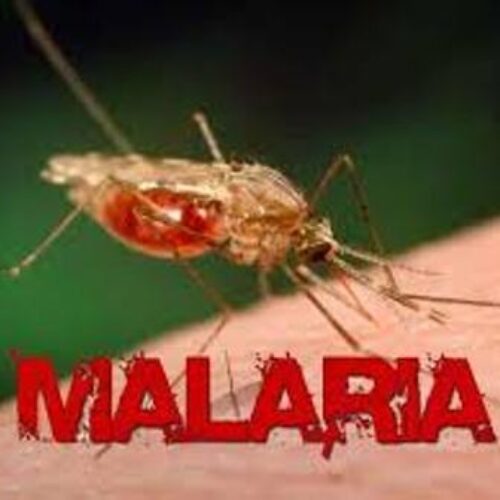 <strong>Malaria: Stakeholders call for all-out war against Mosquito</strong>