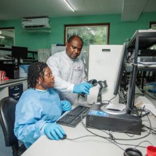 AREF-ROCHE, GENENTECH launch Fellowship program for African scientists