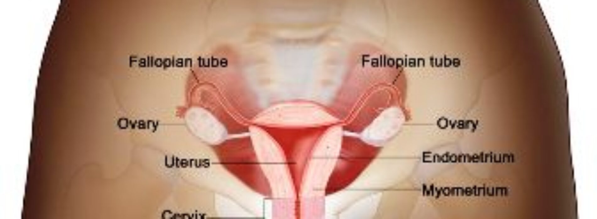 Facts you should know about cervical cancer